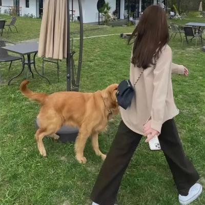 期待幸福